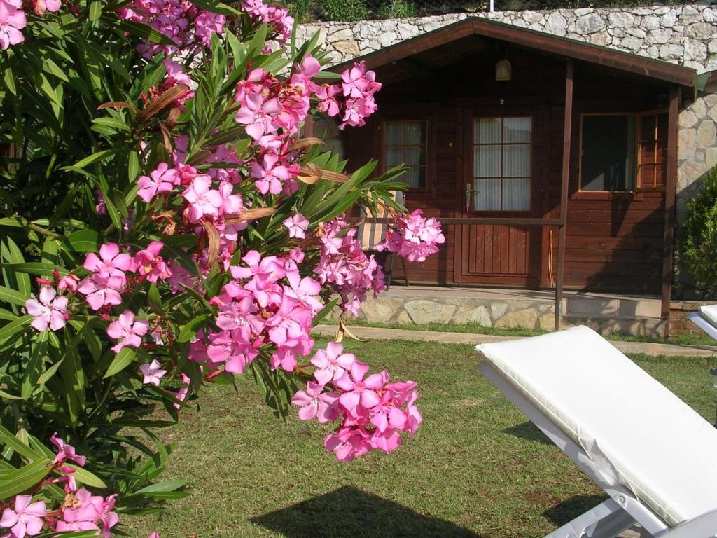 Onur Motel Faralya Exterior foto