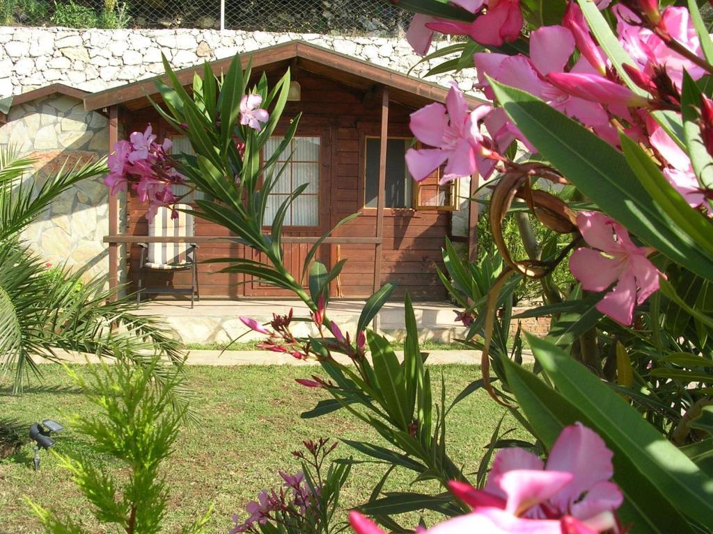 Onur Motel Faralya Exterior foto